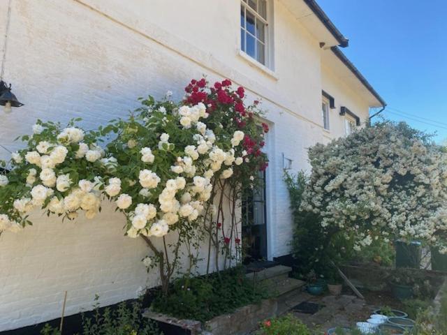 Great EllinghamOld Rectory - Scoulton公寓 外观 照片
