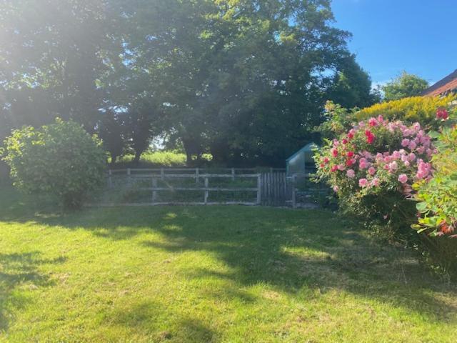 Great EllinghamOld Rectory - Scoulton公寓 外观 照片