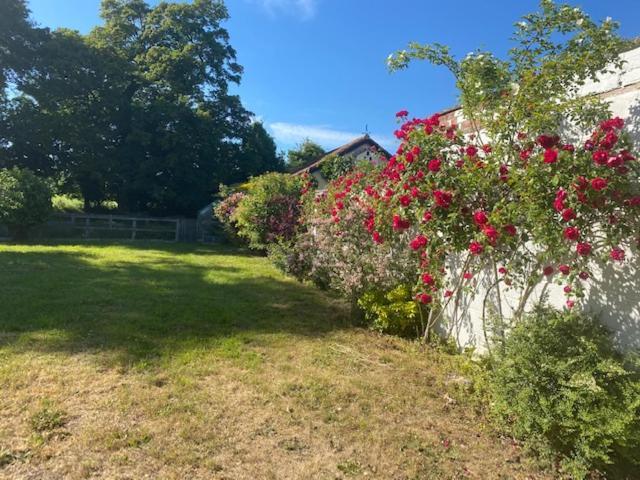 Great EllinghamOld Rectory - Scoulton公寓 外观 照片